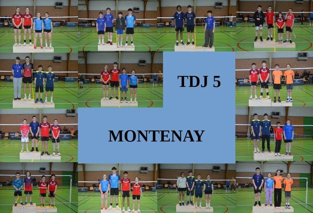 TDJ5 à Montenay