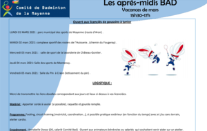 APRÈS-MIDIS BADMINTON