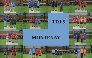 TDJ5 à Montenay