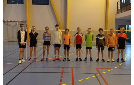 Stage comité à Cossé le Vivien