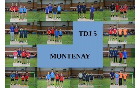 TDJ5 à Montenay